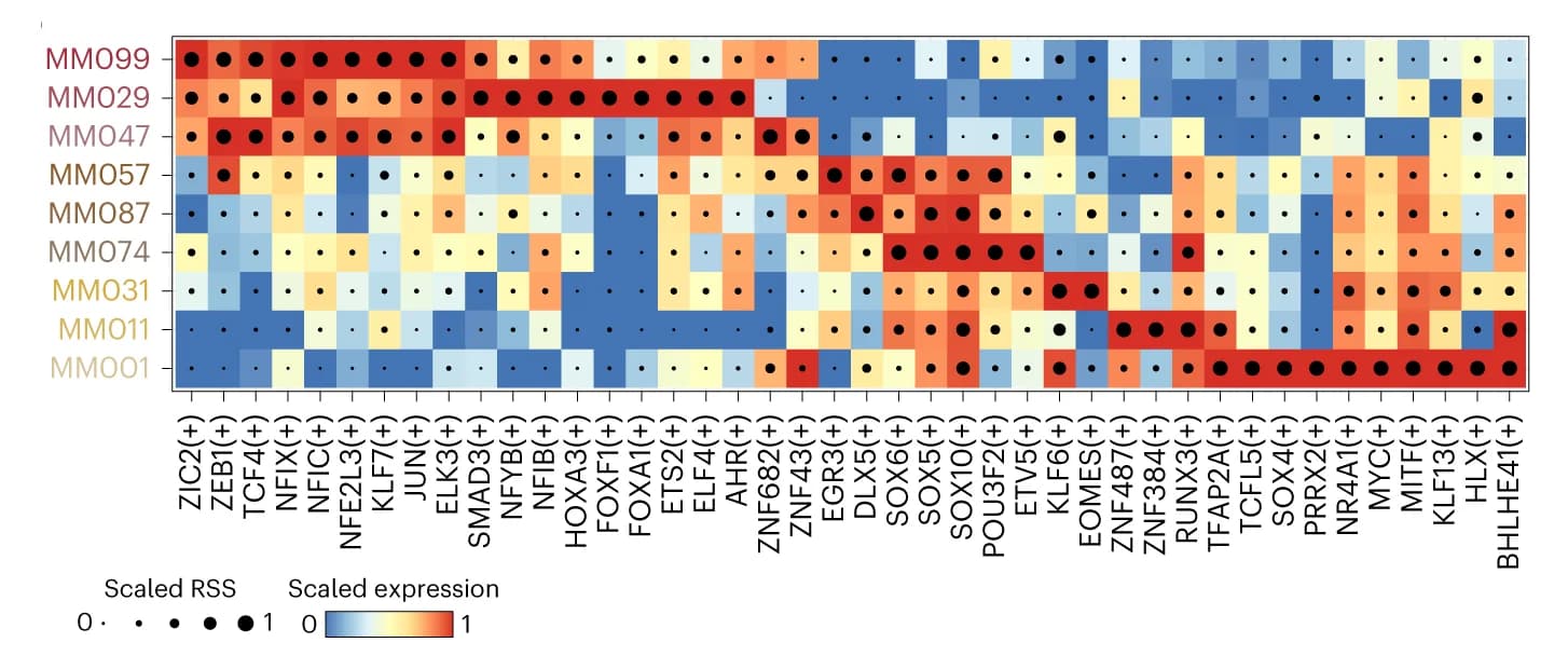 Open access visualization of Heatmap, Heat Map, Dot-Plot, TF Expression, eRegulon