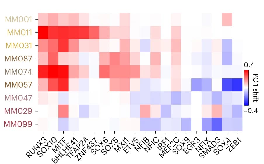 Open access visualization of Heatmap, Heat Map, Principal Component, Melanoma Line, TF Knockdown