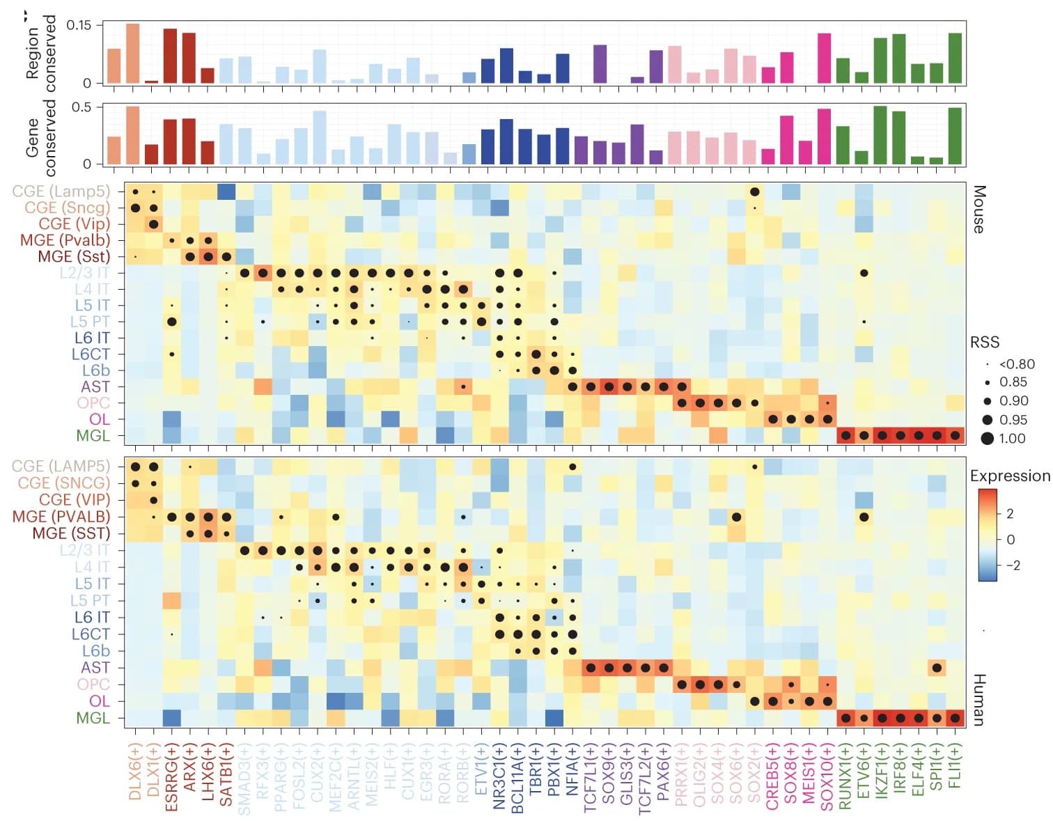 Open access visualization of Heatmap, Bar Plot, Scatter Plot, Heat Map, Dot-plot