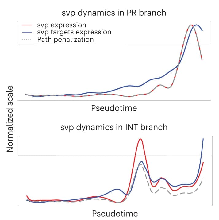 Open access visualization of Line Plot, svp Dynamics, Eye Disc, Differentiation, TF Expression
