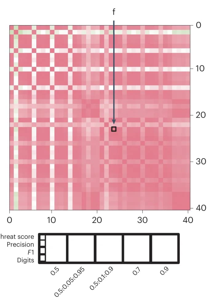 Open access visualization of Heatmap, Cross-correlation matrix, Metrics, Sartorius Cell Segmentation Challenge