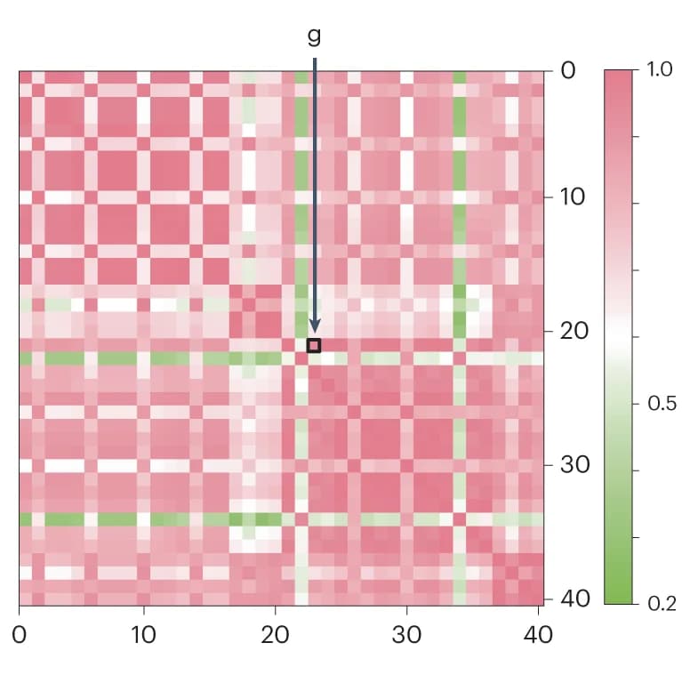 Open access visualization of Heatmap, Cross-correlation matrix, Metrics, MIDOG challenges, Image scores