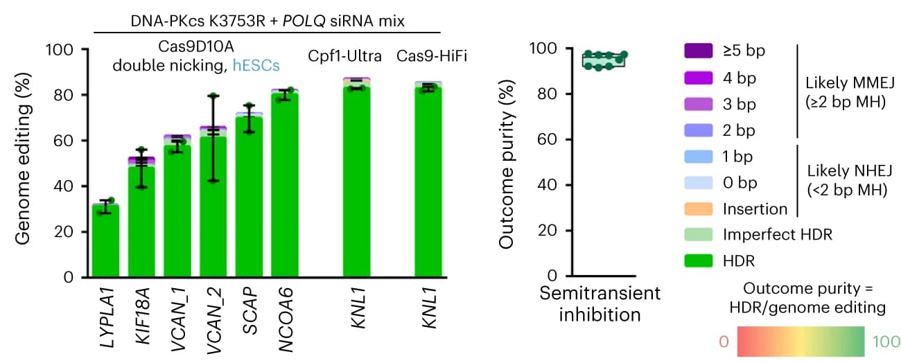 Open access visualization of Bar Plot, Error Bars, Scatter Plot, Genome editing efficiencies, iCRISPR-Cas9D10A
