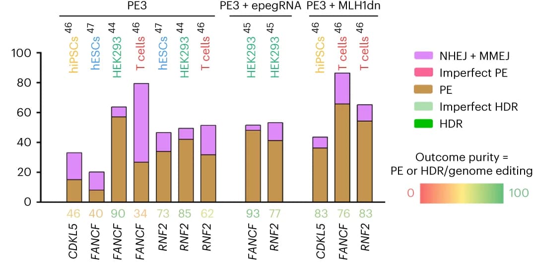 Open access visualization of Stacked Bar Plot, Editing Efficiencies, Mutations, CDKL5, FANCF