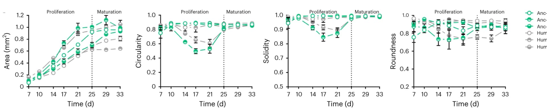 Open access visualization of Line Plot, Error Bars, Organoid Size, Organoid Shape, Circularity