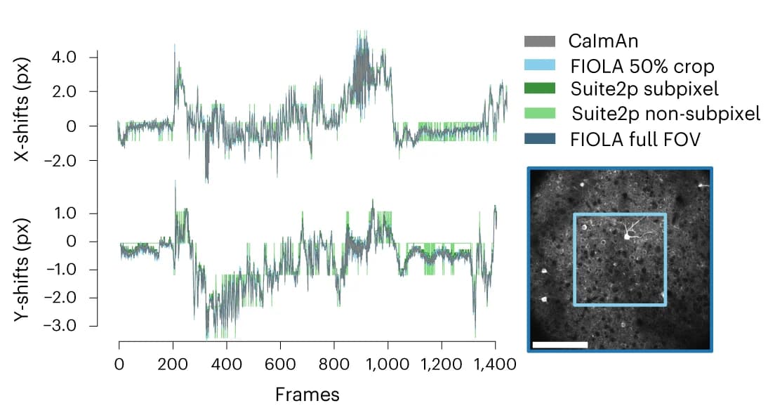 Open access visualization of Line Plot, Microscopy, Frame Registration, Motion Correction, Rigid Translation