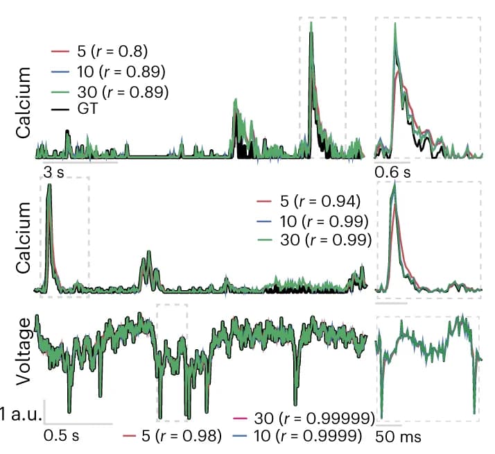 Open access visualization of Line Plot, Fluorescence Traces, FIOLA, Lawson-Hanson Algorithm, Calcium Imaging