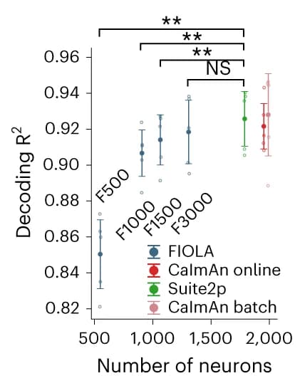 Open access visualization of Error Bars, Decoding Performance, Initialization Batch Sizes, Coefficient of Determination, Ground Truth
