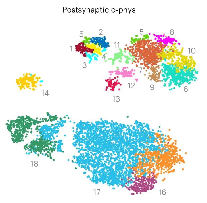 Open access visualization of Scatter Plot, UMAP, T-SNE Plot, O-Phys Clusters