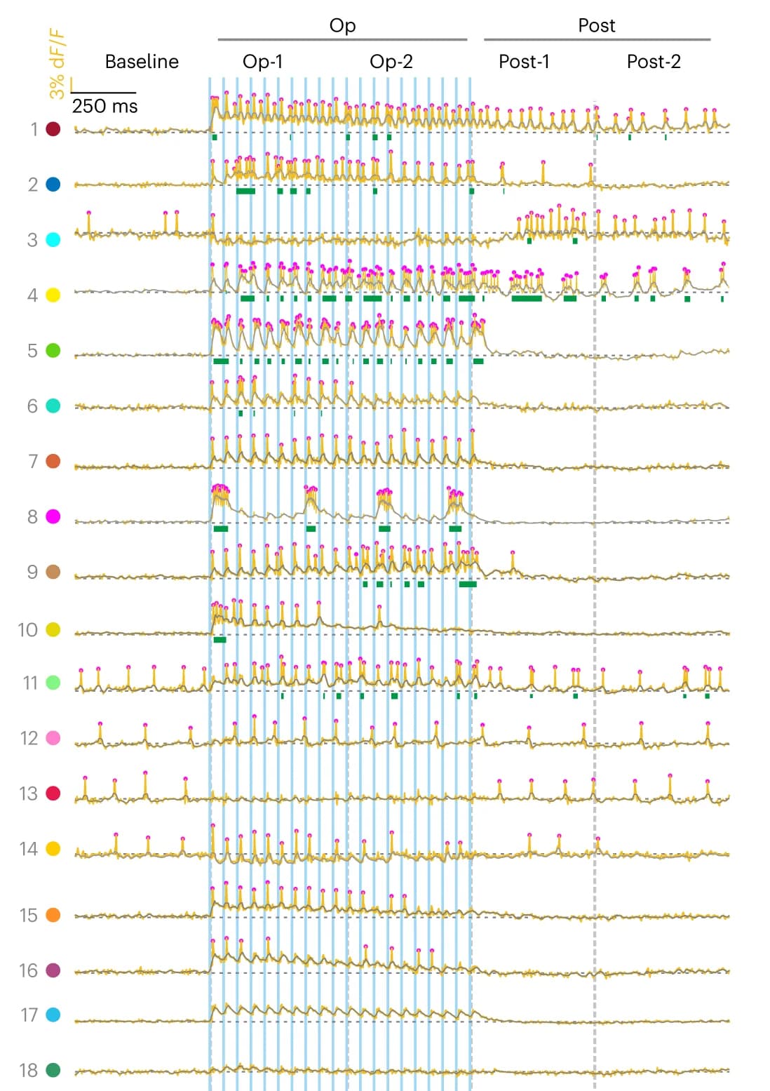 Open access visualization of Line Plot, All-optical Sweeps, O-Phys Traces, PRTs, O-Phys Clusters