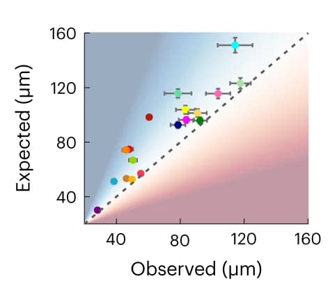 Open access visualization of Scatter Plot, Error Bars, Regression Plot, AMD, Neurons