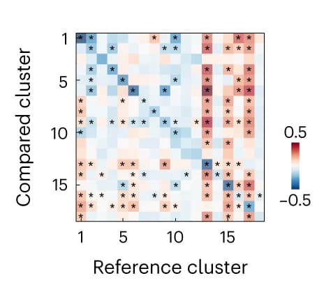 Open access visualization of Heatmap, AMD, Neurons, o-phys cluster