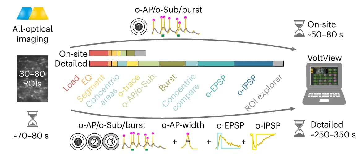 Open access visualization of Workflow, Illustration, o-phys Analysis, Postprocessing, Detection