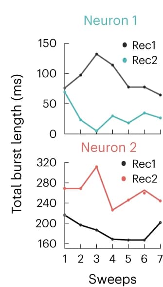 Open access visualization of Line Plot, Line Plots, Burst Length, oHFS, Neuron