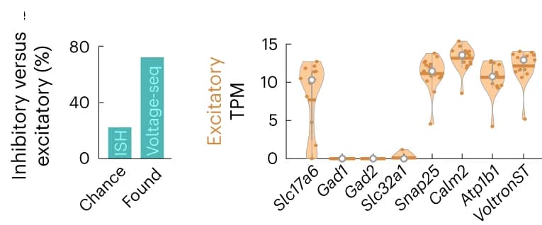 Open access visualization of Bar Plot, Violin Plot, Scatter Plot, cDNA library, scRNA-seq