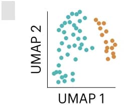Open access visualization of Scatter Plot, UMAP, Clustering, Voltage-Seq RNA-transcriptome, Inhibitory Neurons