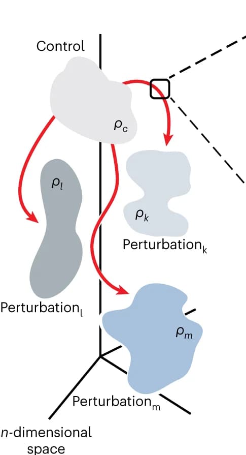 Open access visualization of Workflow, Flowchart, Single Cells, Distributions, Control State