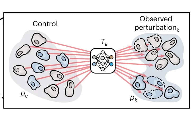 Open access visualization of Workflow, Flowchart, Illustration, Perturbation, Function