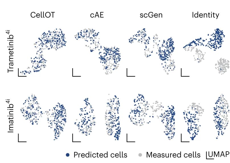 Open access visualization of Scatter Plot, UMAP, Treated Cells, 4i, Perturbed Cells