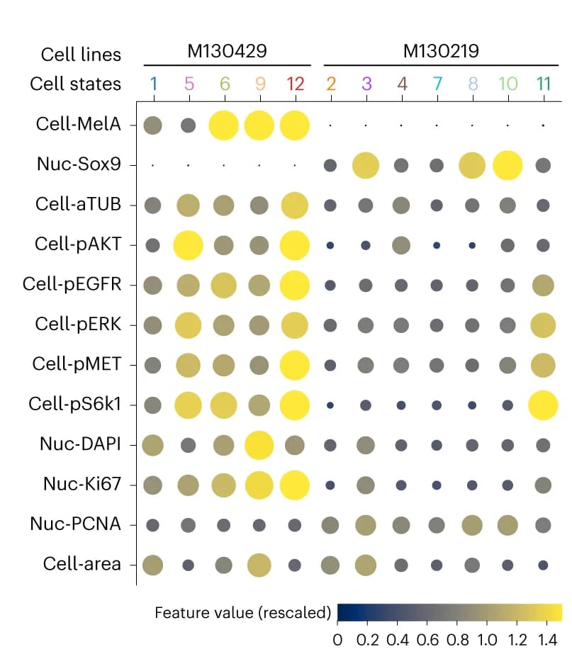 Open access visualization of Bubble Plot, Cell states, Control cells, Cell lines, Cellular features