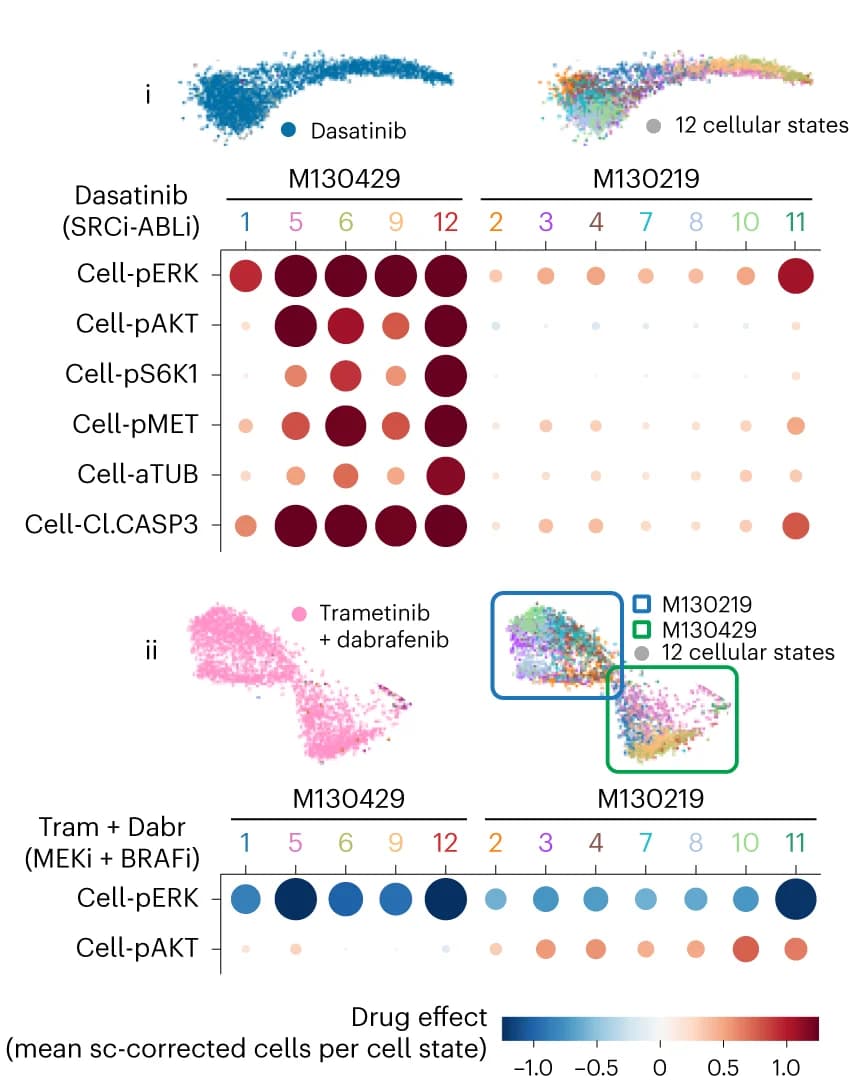 Open access visualization of Scatter Plot, Bubble Plot, UMAP, Cell-state-specific responses, Drug treatments
