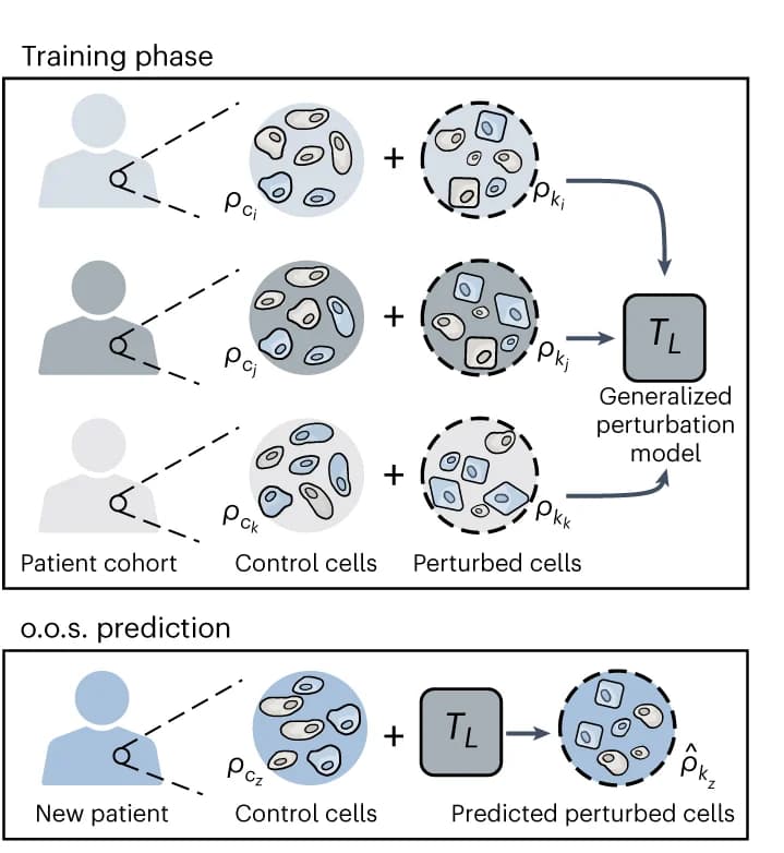 Open access visualization of Workflow, Flowchart, Illustration, Lupus, IFN-β