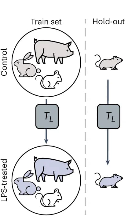 Open access visualization of Workflow, Flowchart, Illustration, o.o.d., CellOT