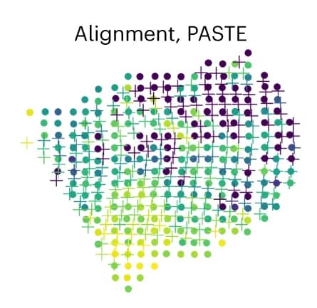 Open access visualization of Scatter Plot, Alignment, PASTE, Linear Transformation