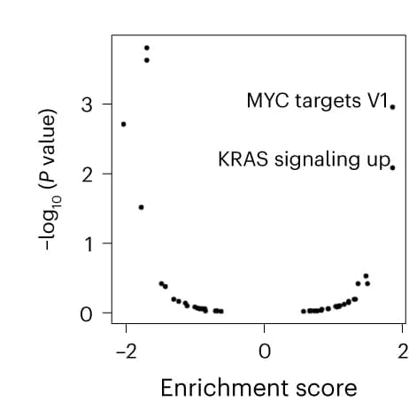 Open access visualization of Scatter Plot, Volcano Plot, Gene Set Enrichment Analysis, Gene Variance