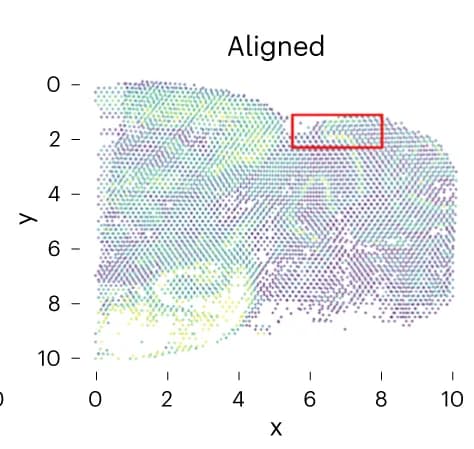 Open access visualization of Scatter Plot, Mouse Brain, Slices, Aligned Coordinate System