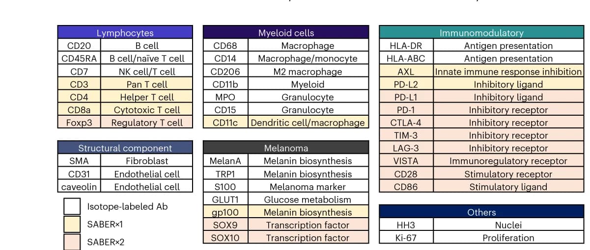 Open access visualization of Table Image, Antibody Panel, SABER-IMC, Human Melanoma, Target Molecules