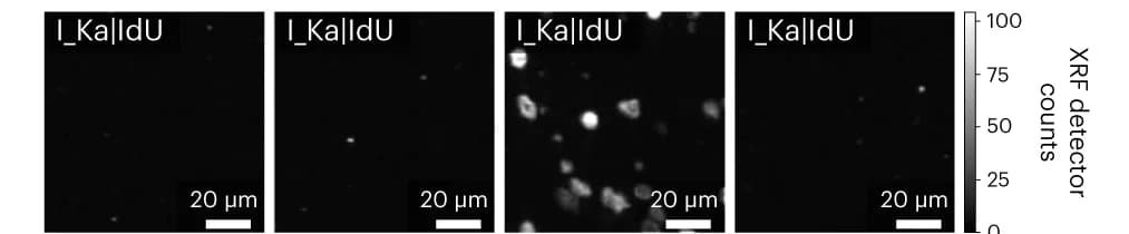 Open access visualization of Microscopy, MEZ-XRF, MCF10a, A431, ZR-75-1