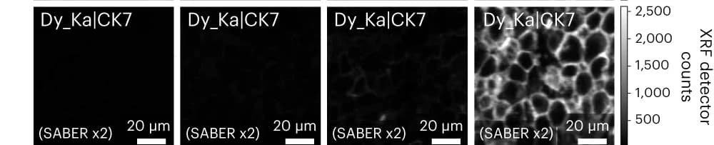 Open access visualization of Microscopy, SABERx2, MEZ-XRF, MCF10a, A431