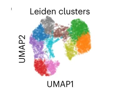 Open access visualization of Scatter Plot, UMAP, MEZ-XRF, SABERx2 Z-tags, Breast Tumor Tissue