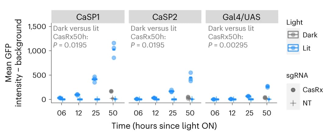 Open access visualization of Scatter Plot, SCPTS system, GFP intensity, Promoters, Dark conditions