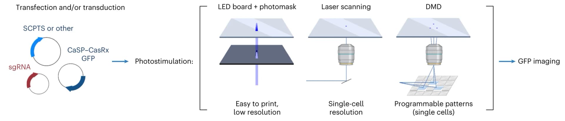Open access visualization of Workflow, Flowchart, Illustration, LED array, Photomask