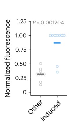 Open access visualization of Scatter Plot, NG Quantification, ROI, Photostimulated Cell, Wilcoxon-Mann-Whitney test