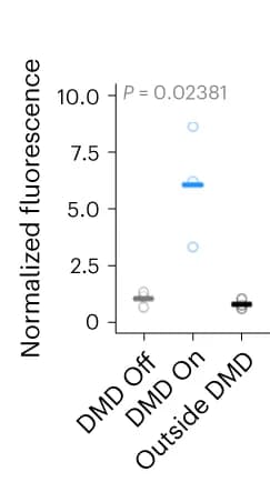 Open access visualization of Scatter Plot, NG Quantification, DMD ROI, DMD FOV, Photostimulated ROI