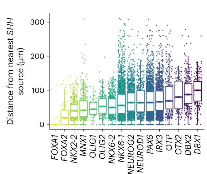 Open access visualization of Box Plot, Scatter Plot, Distance Distribution, Transcripts, SHH+ Cell