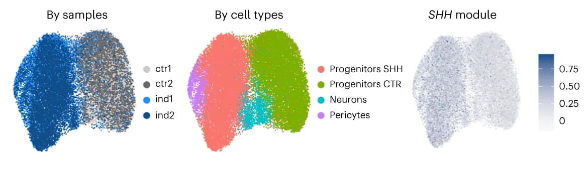 Open access visualization of Scatter Plot, UMAP, PCA, Sample Identity, Cell Types