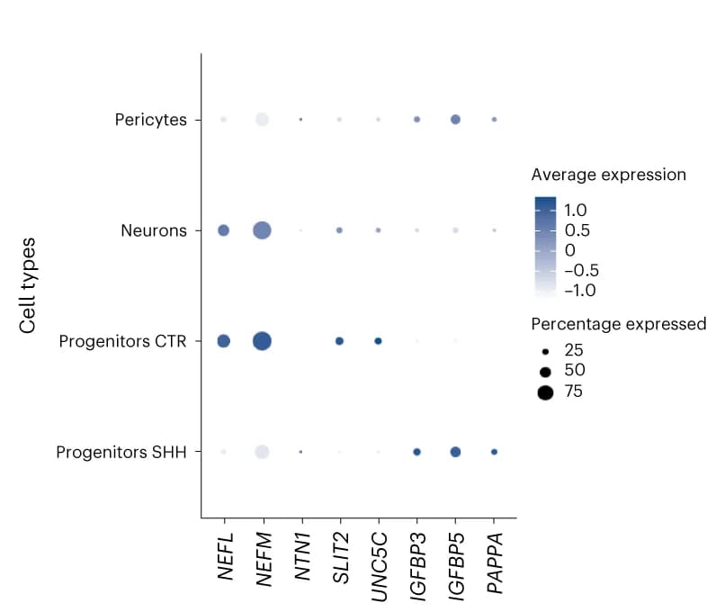 Open access visualization of Bubble Plot, Heatmap, Gene Expression, Differentially Expressed Genes
