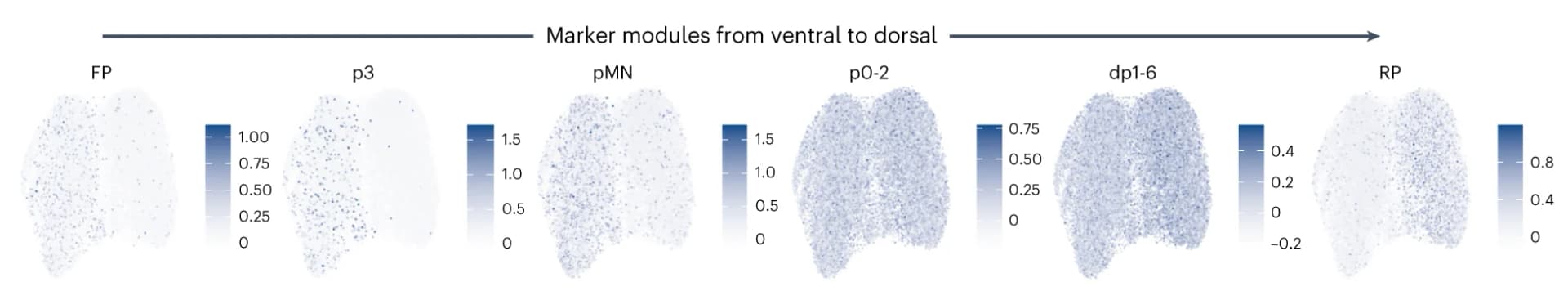 Open access visualization of Scatter Plot, Heatmap, Featureplot, Module Scores, Marker Genes