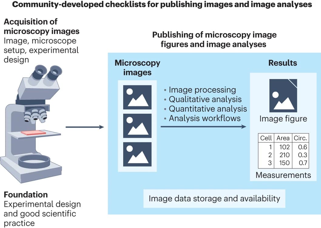 Open access visualization of Workflow, Illustration, Table Image, Microscopy Image, Image-Analysis