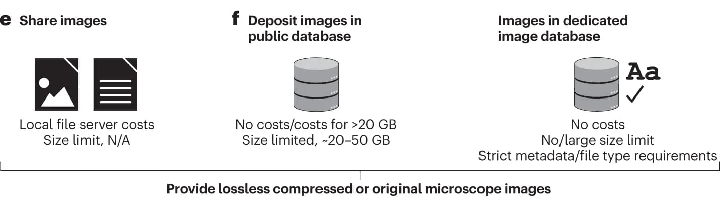Open access visualization of Illustration, Workflow, Databases, Image Search, Data Curation