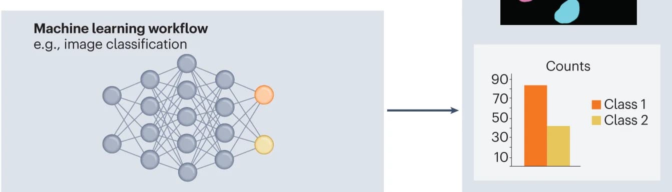 Open access visualization of Workflow, Bar Plot, Machine Learning, Workflows, Data