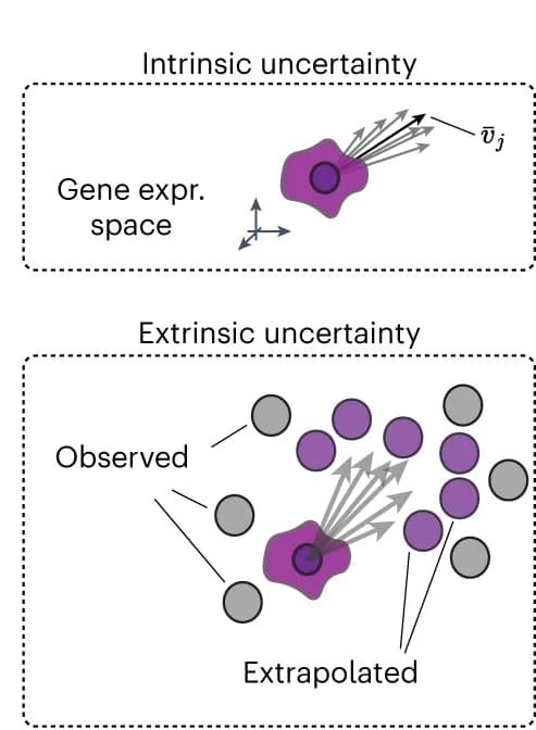 Open access visualization of Illustration, Variational Inference, Velocity Estimate, Posterior Distribution, Velocity Vector