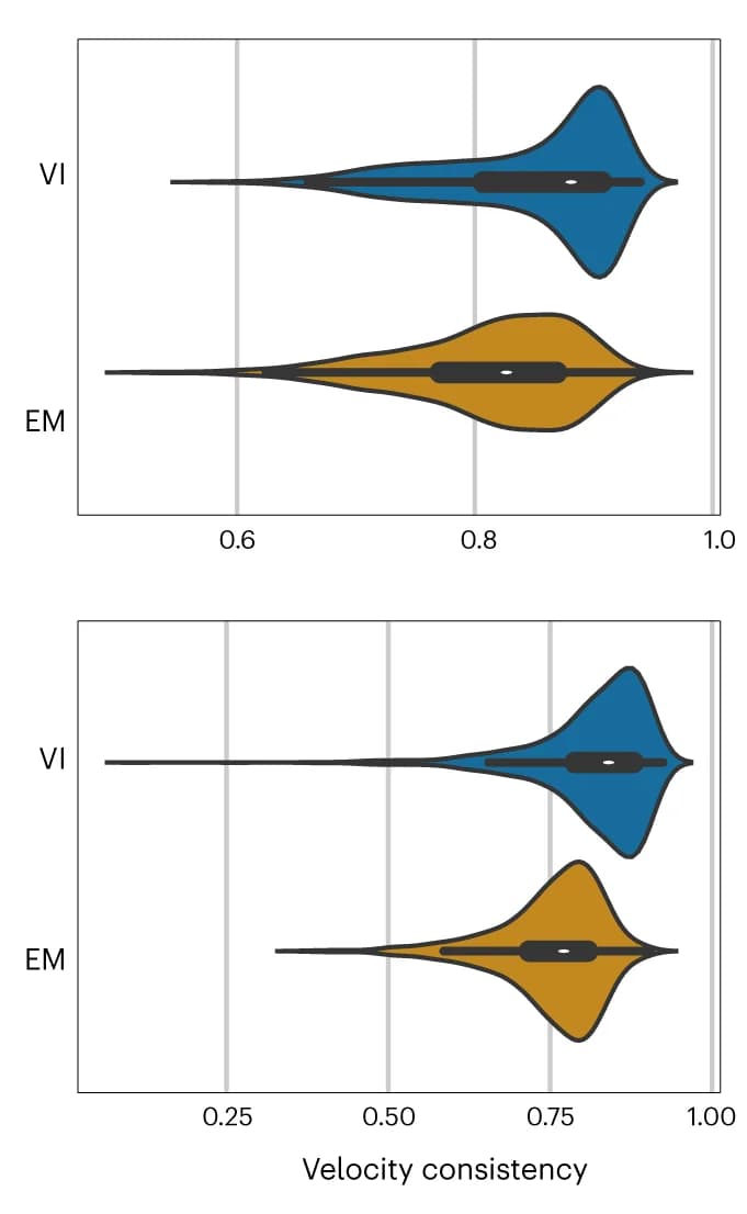 Open access visualization of Violin Plot, Velocity Consistency, veloVI, EM Model, RPE1-FUCCI Cells