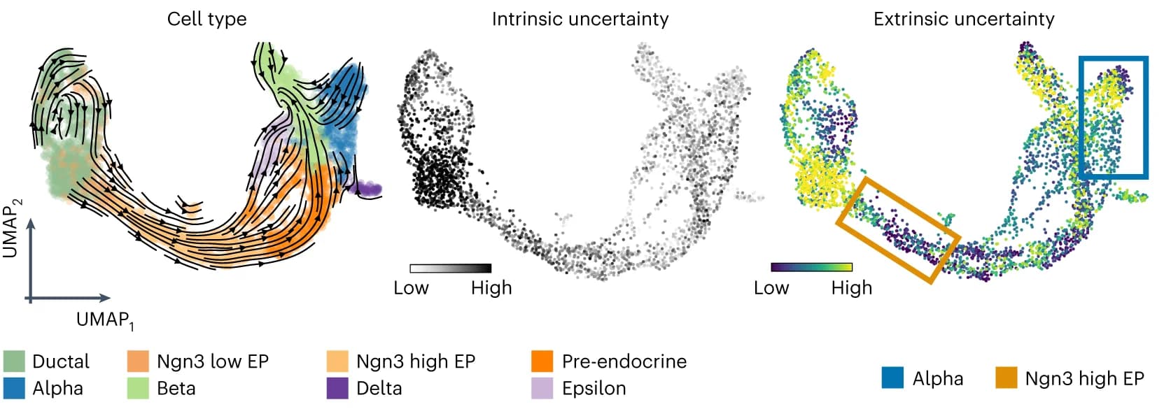 Open access visualization of Scatter Plot, UMAP, Velocity Stream, Intrinsic Uncertainty, Extrinsic Uncertainty
