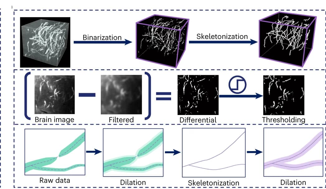 Open access visualization of Workflow, Automated Annotation, 3D Cubes, Pure Axons, Adaptive Binarization