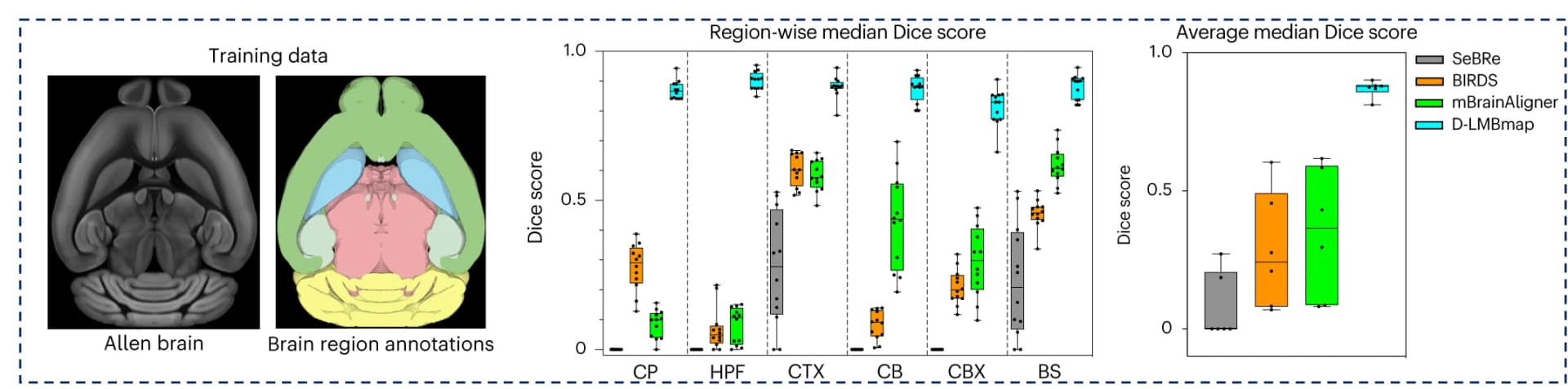 Open access visualization of Box Plot, Scatter Plot, Quantitative Evaluation, Brain Region Segmentation Methods, Autofluorescence Channel